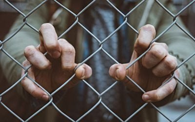 When You See Life from Wrong Side of the Fence
