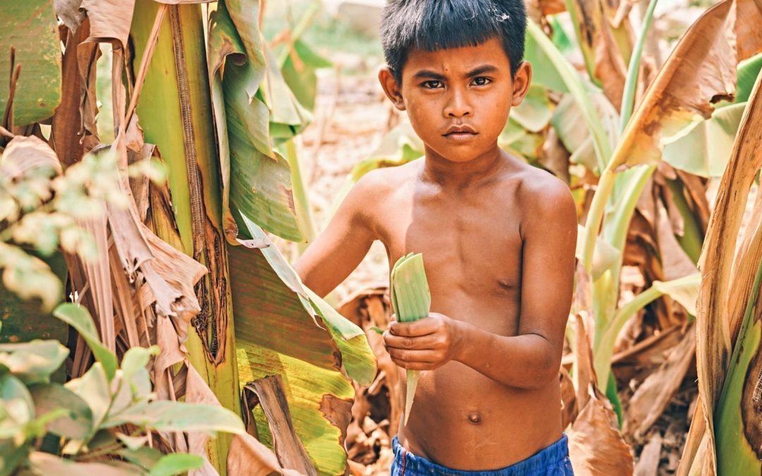 A young boy working in a field