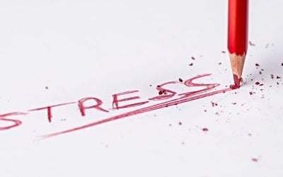 The Puritans Were Right: Stop Checking Your Email
