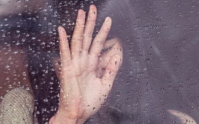 U.S. Trafficking Reports See Small Increase in 2017