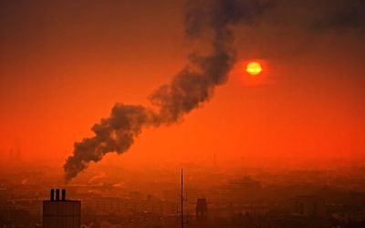 Poverty Decreases Worldwide Except Sub-Saharan Africa