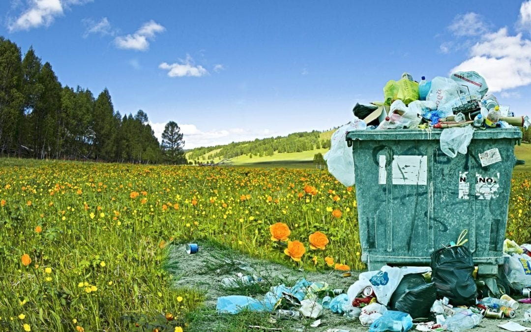 Overflowing trash dumpster in field