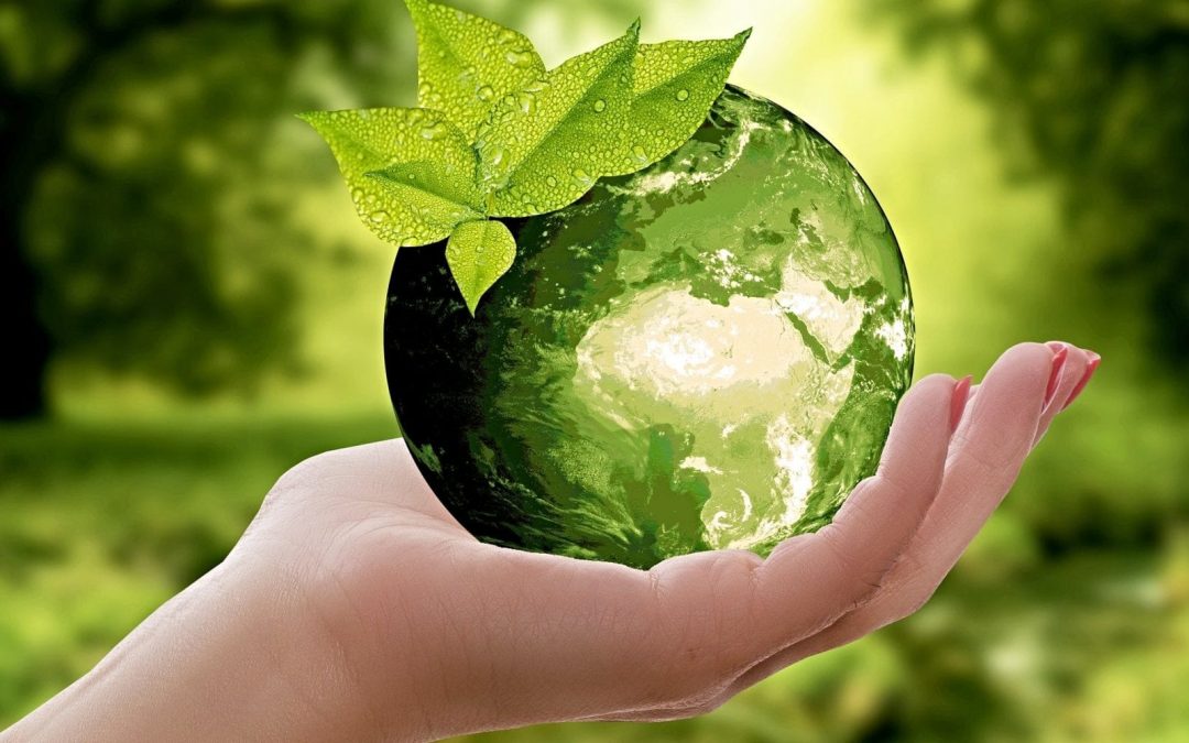 Advent Calls Us to Pursue ‘Green’ Peace for This Planet