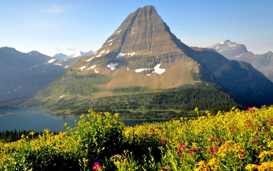 Israel experience full — Glacier is filling