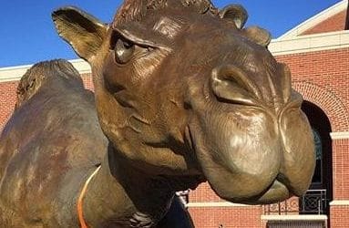 Take care with camel lips