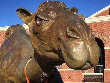 Take care with camel lips