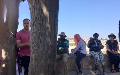 From mountains to museums … to home