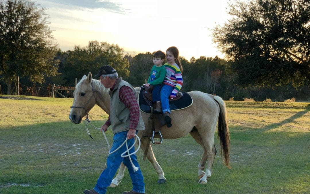 Releasing The Reins