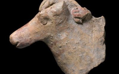 Raining busts and horses?
