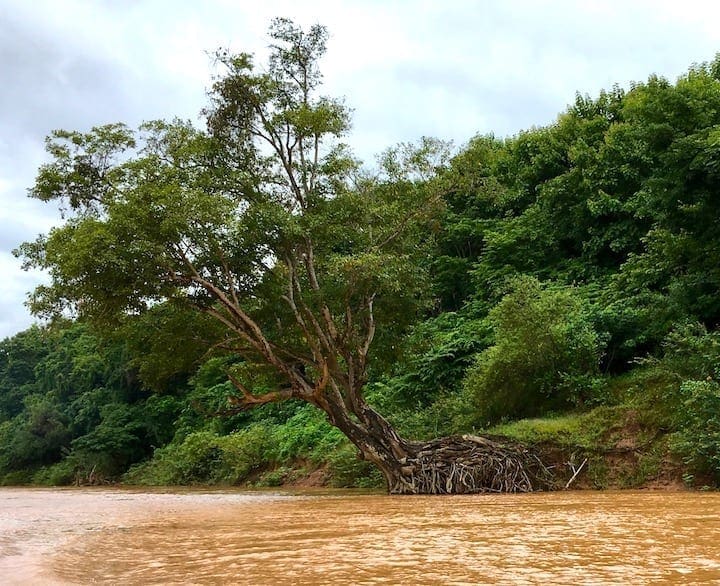 Laos Living