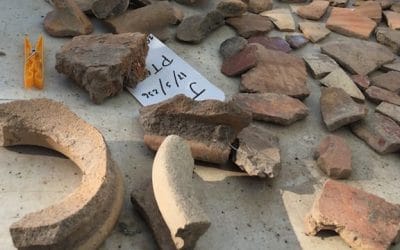 What did you find?