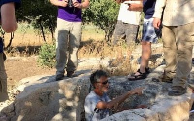 Dig these stories … Part Four