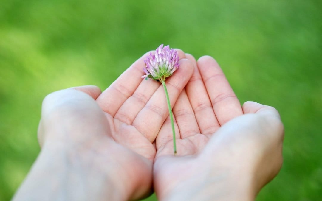 Lessons In Giving From Children And The Tooth Fairy