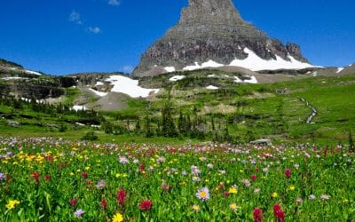 Escape to the high country this August
