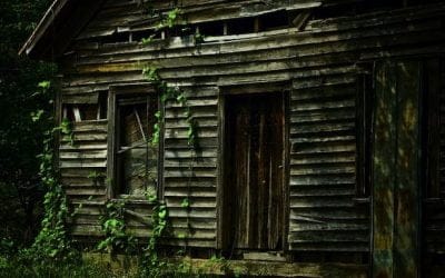 A good case for a good God — and a good bit more