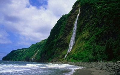Halfway to Hawaii