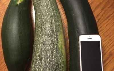Zucchini Gump